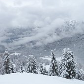 winterwald bei rosengarten karerpass richtung latemar und fassa