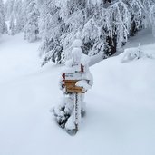 winterwald bei rosengarten karerpass wegweiser