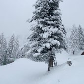 winterwald bei rosengarten karerpass