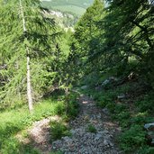 sentiero salita cima verde monte bondone