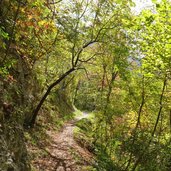 sentiero lago san colombano autunno