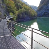 sentiero lago san colombano autunno