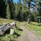 wanderweg nr zum lavaze joch