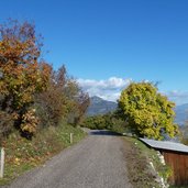 percorso ai castagneti di brentonico