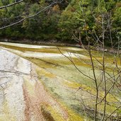 sentiero lago san colombano autunno