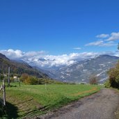 percorso ai castagneti di brentonico