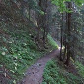 wanderweg nr zum lavaze joch