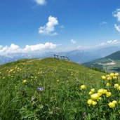 monte bondone prati costa dei cavai