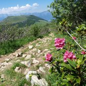 monte bondone sentiero costa dei cavai