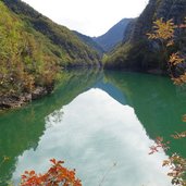 sentiero lago san colombano autunno