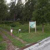 il bosco nascosto di daiano cartello person