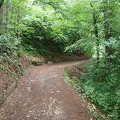 cammino jacopeo d anaunia per san romedio