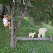 il bosco nascosto di daiano stazione orsi