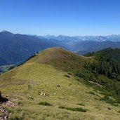 capre presso prati ronchese sotto corno nero fr