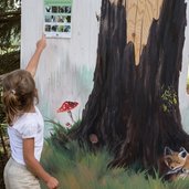 il bosco nascosto di daiano vecchio tronco