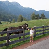 il bosco nascosto di daiano cavallo persona