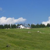 malga cima verle