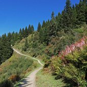 mtb dbb bike sentiero da passo del gotro a begn de l ors