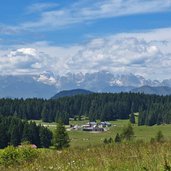 lusern prati di malga millegrobbe sfondo dolomiti di brenta