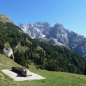 prati presso malga movlina e cima padaiola