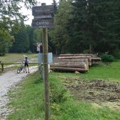 strada forestale camini presso incrocio con strada statale ss