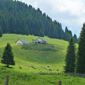 malga vallorsara agritur val orsara