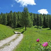 km dei forti strada per forte dosso delle somme peonie