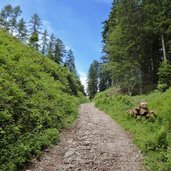 sentiero diretto da prati di monte a passo potzmauer
