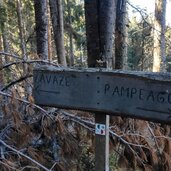 Zanggen