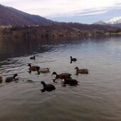 EC PeerRS C lago di caldonazzo inverno