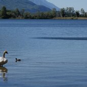 PeerRS C percorso natura lago di toblino