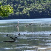PeerRS C percorso natura lago di toblino