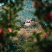 Raccadi Samoclevo Ph Caspar Diederik ArchivioAPTValdi Sole 