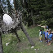 sentiero tematico Forestadei Draghi predazzo valdifiemme trentino ph Modica Kopie