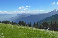 vigiljoch blumenwiese und gantkofel mendel