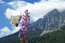 natura e paesaggio trentino