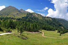 malga castrin passo castrin kornigl und hofmahdwiesen bei aleralm