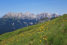 prati di lusia vista verso costalunga e catinaccio