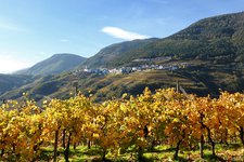 val di cembra altavalle autunno