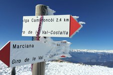 particolari della cima costalta