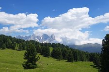 prati presso malga canvere vista verso gruppo delle pale