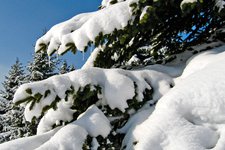 Skigebiet Alta Badia Winterlandschaft generic