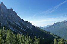 bosco sotto le pale di san martino