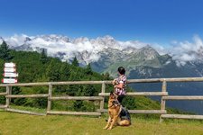 dolomiti di brenta viste da Rifugio La Roda