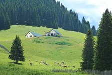 malga vallorsara agritur val orsara