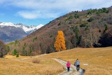 sentiero per malga san giovanni al monte autunno