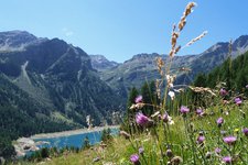 discesa al lago di pian palu