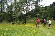 sentiero tra malga clesera e lago delle salare