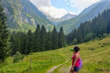 Vista di Valpiana e cime del gruppo della Presanella