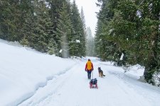 Inizio strada forestale a Passo Campo Carlo Magno